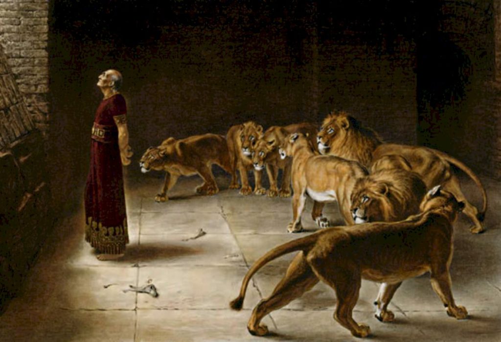 lions den